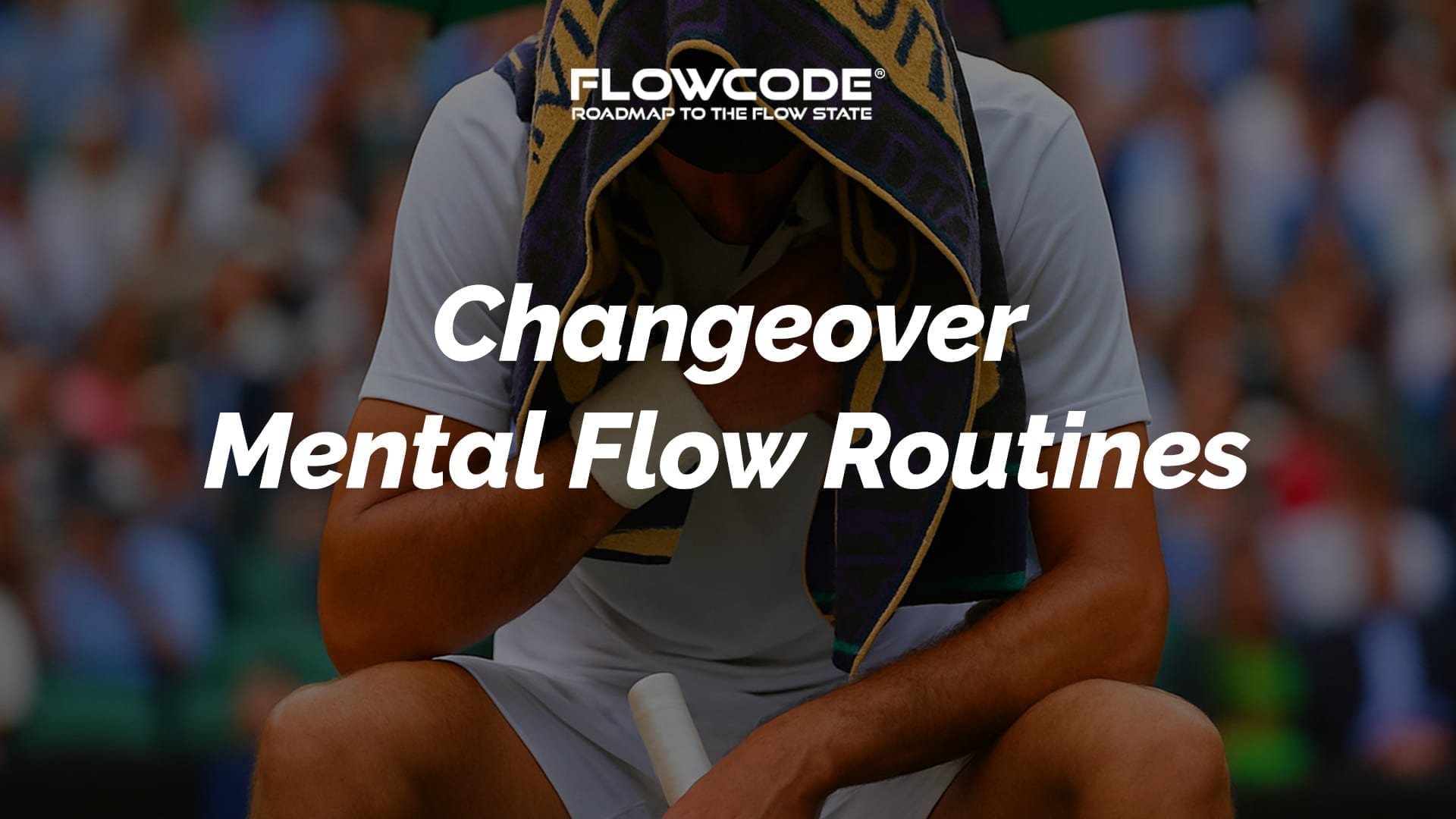 FLOWCODE - Roadmap to the Flow State | Flow State Learning Platform